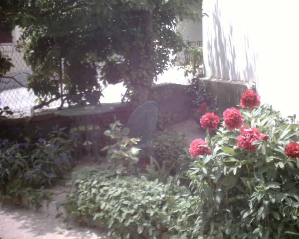 Vaque Les Angles Apartment Bilik gambar